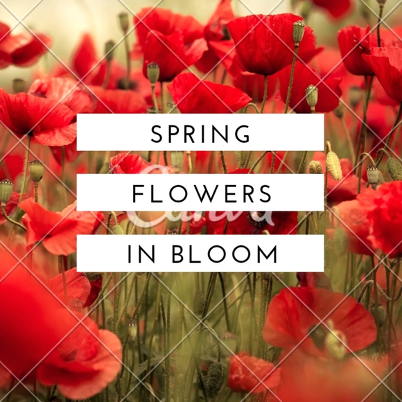 Winter - Picture 7 of 16